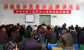 科技賦能，服務下沉——省會專家服務辛集行活動圓滿落幕